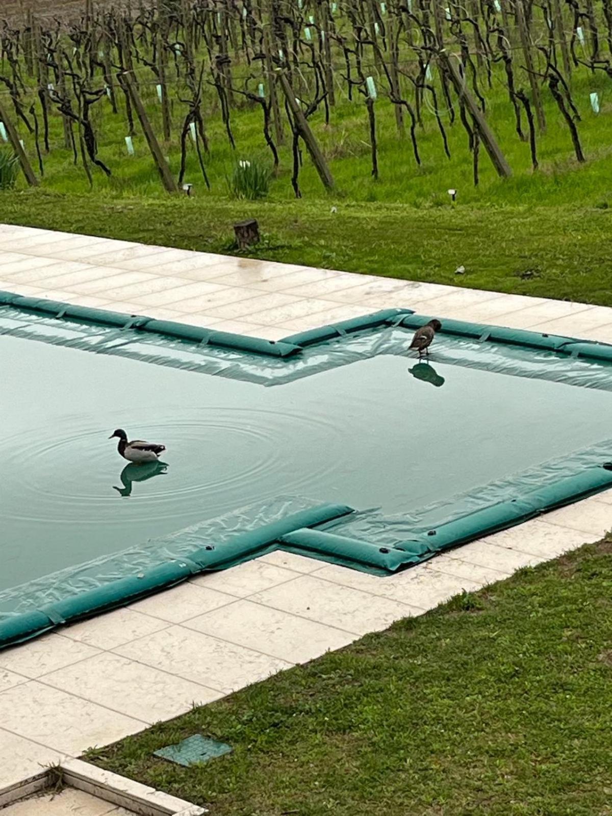 Agriturismo Al Dugale Lazise Luaran gambar
